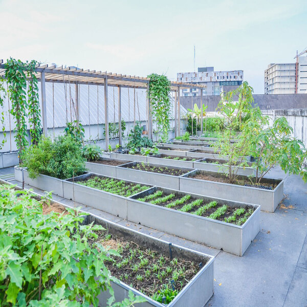 Techtern Pvt Ltd+Farm in a Box @ Rooftop